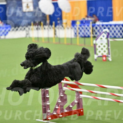 MAS-EX-JWW-24-Inch_3475