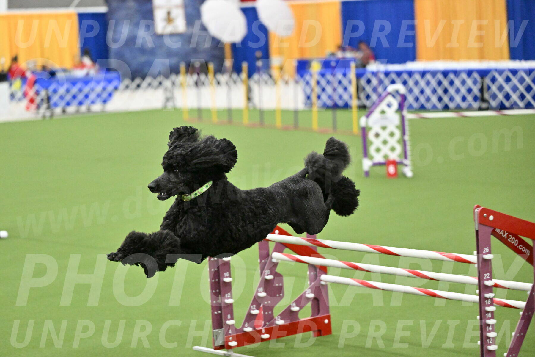 MAS-EX-JWW-24-Inch_3475