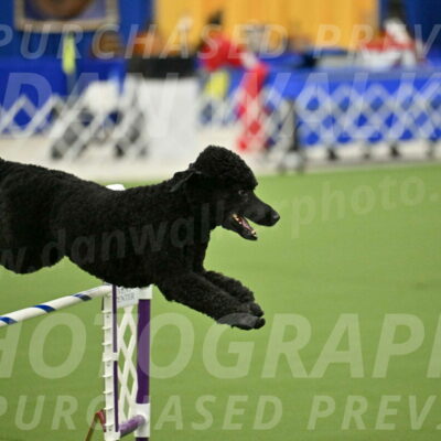 MAS-EX-JWW-24-Inch_3486