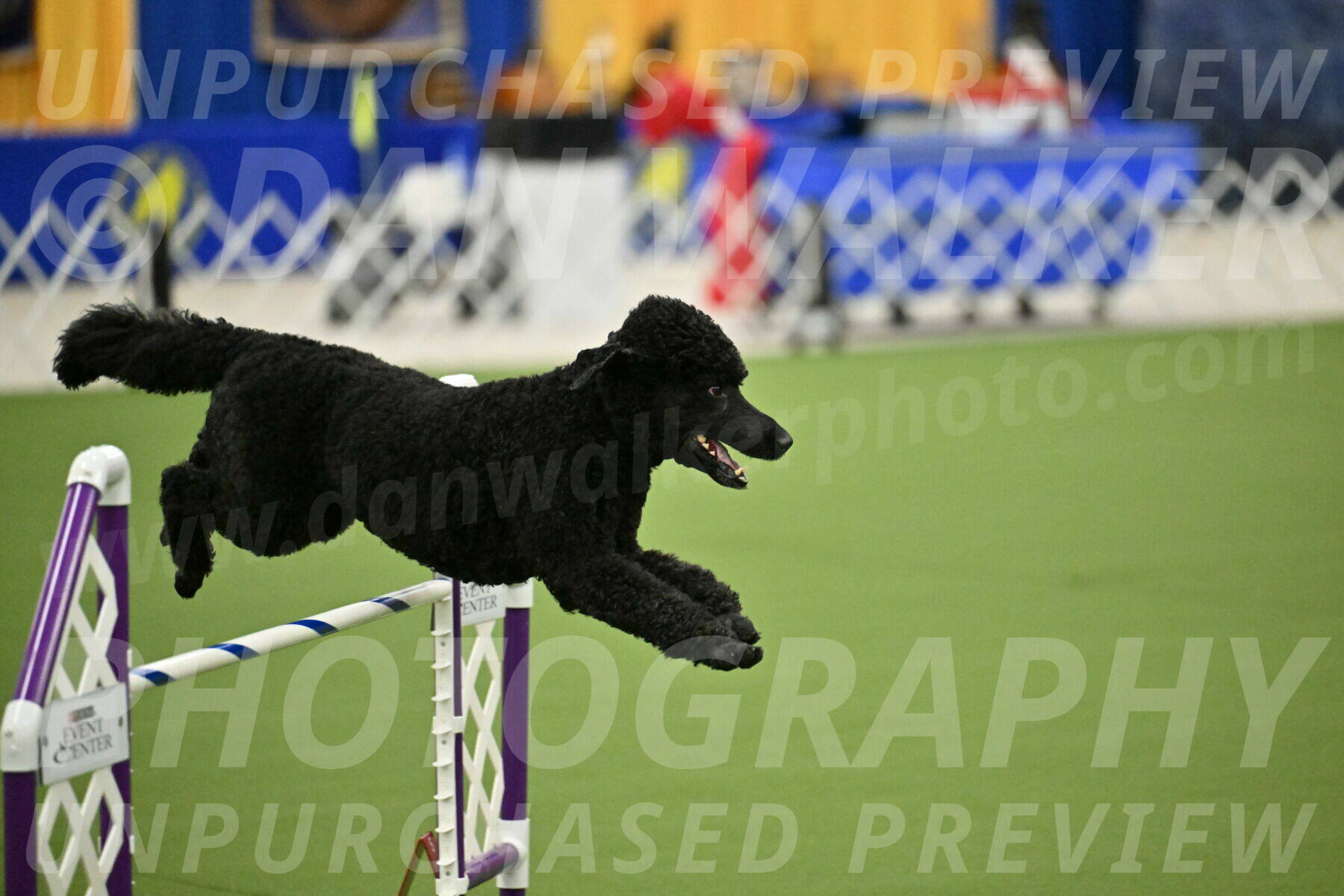 MAS-EX-JWW-24-Inch_3486