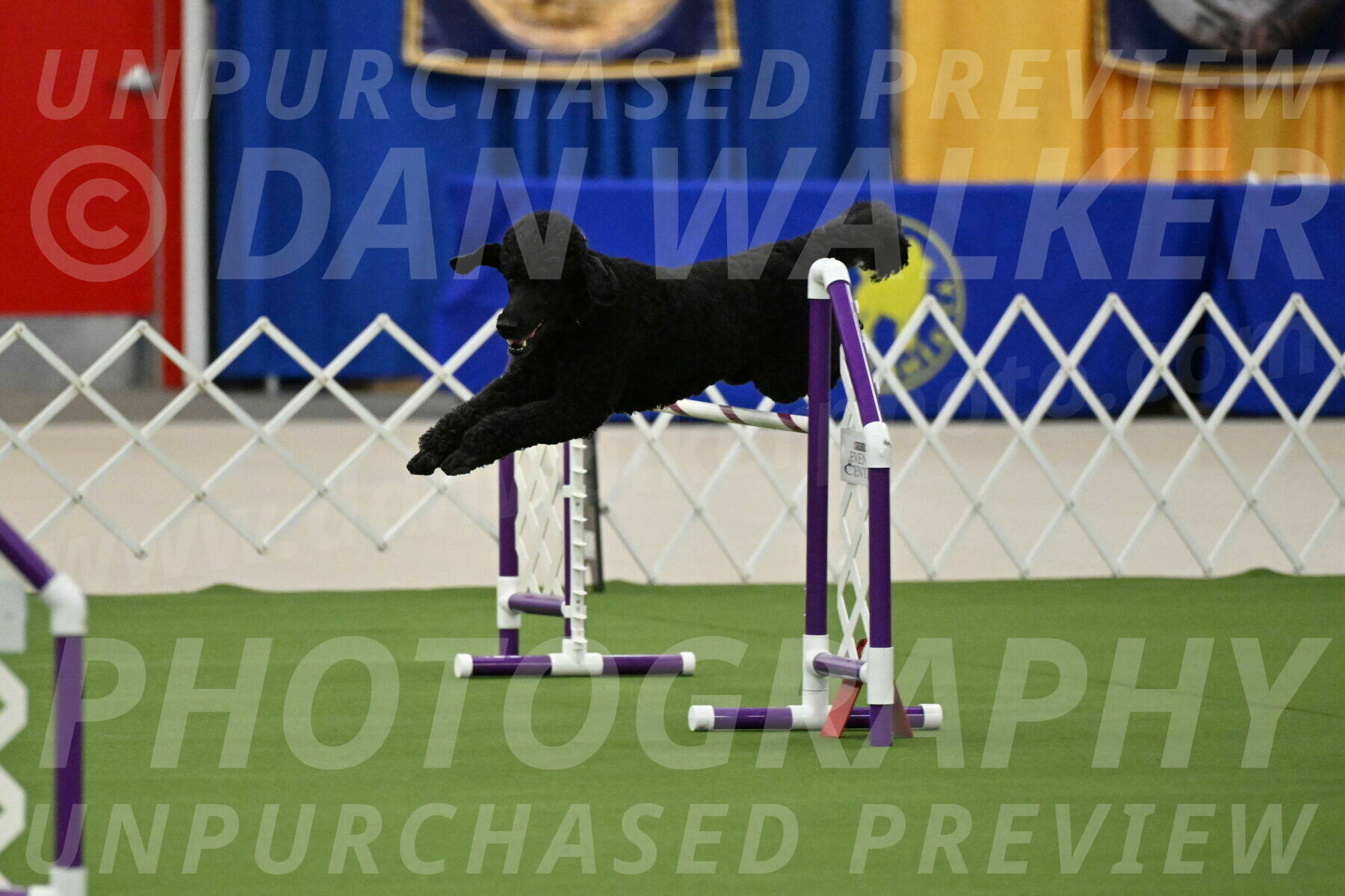 MAS-EX-JWW-24-Inch_3490