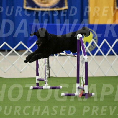 MAS-EX-JWW-24-Inch_3490