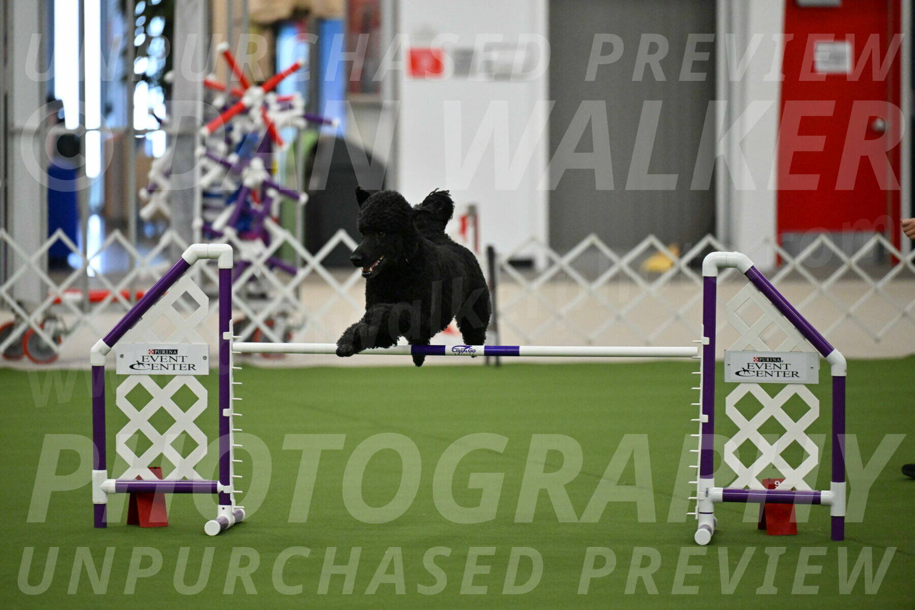 MAS-EX-JWW-24-Inch_3493