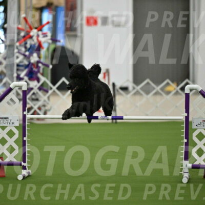 MAS-EX-JWW-24-Inch_3493