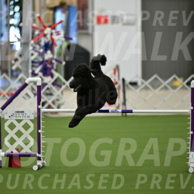 MAS-EX-JWW-24-Inch_3494