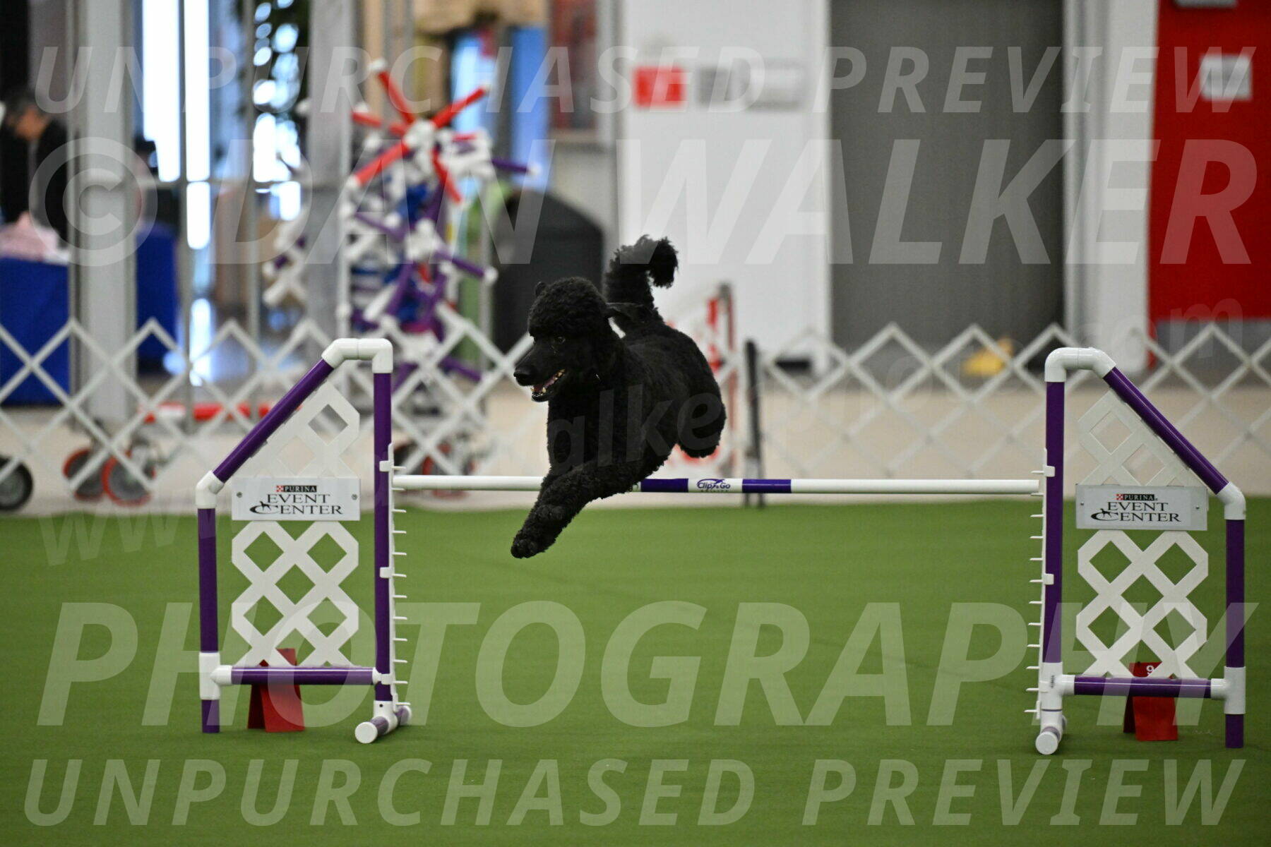 MAS-EX-JWW-24-Inch_3494