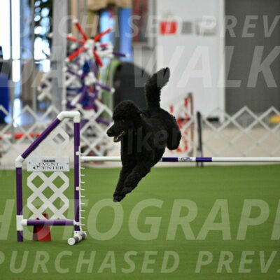 MAS-EX-JWW-24-Inch_3495