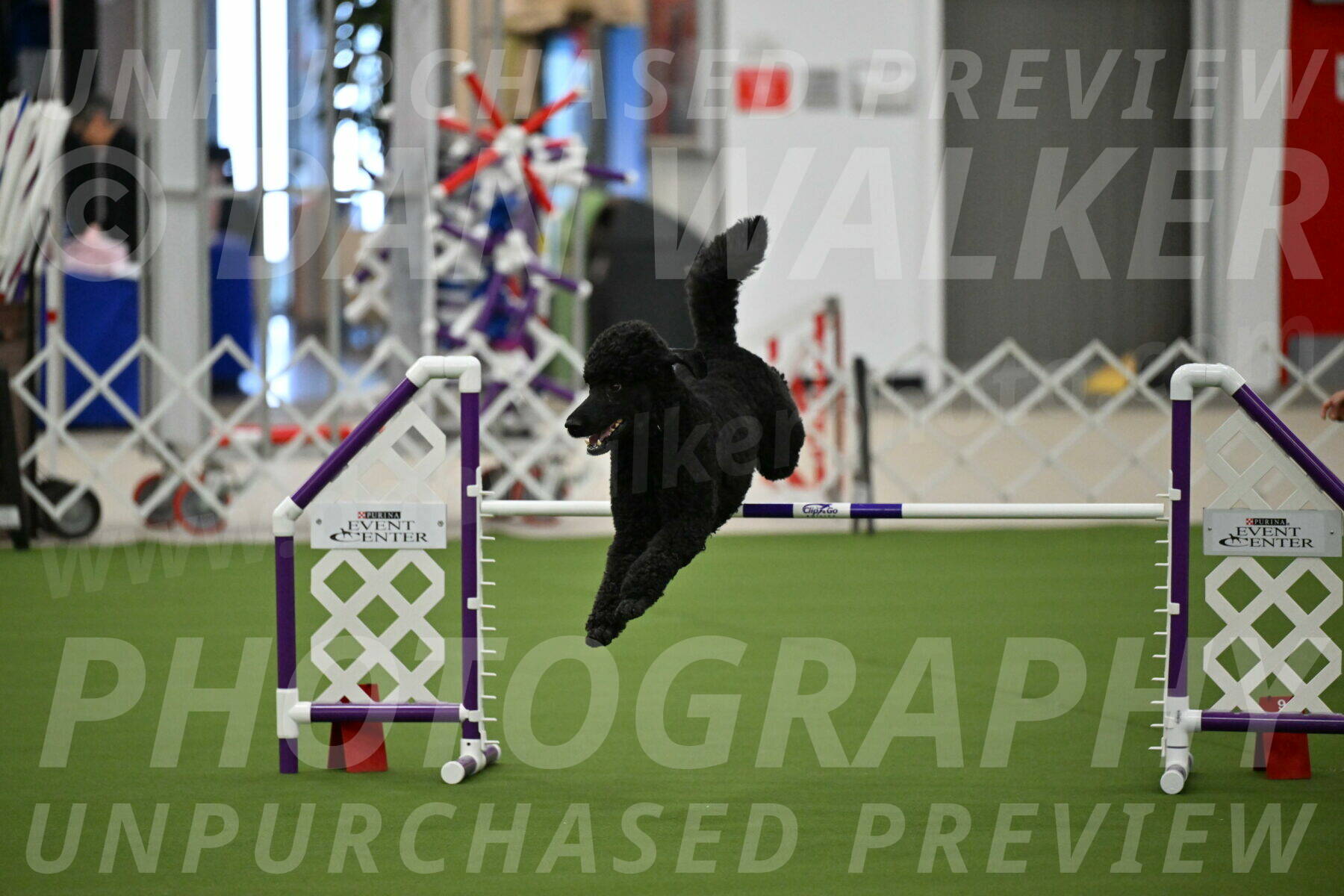 MAS-EX-JWW-24-Inch_3495