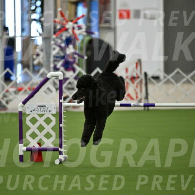 MAS-EX-JWW-24-Inch_3496