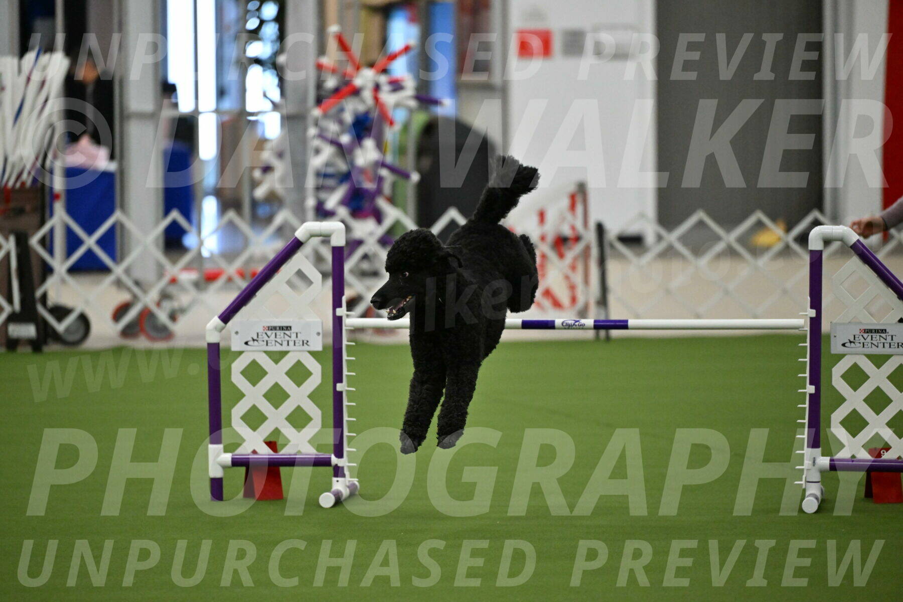 MAS-EX-JWW-24-Inch_3496