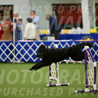 MAS-EX-JWW-24-Inch_3498