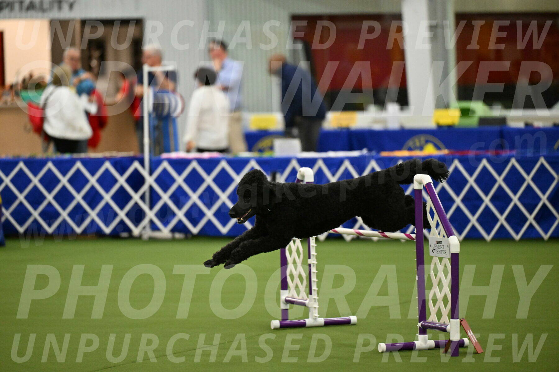 MAS-EX-JWW-24-Inch_3498