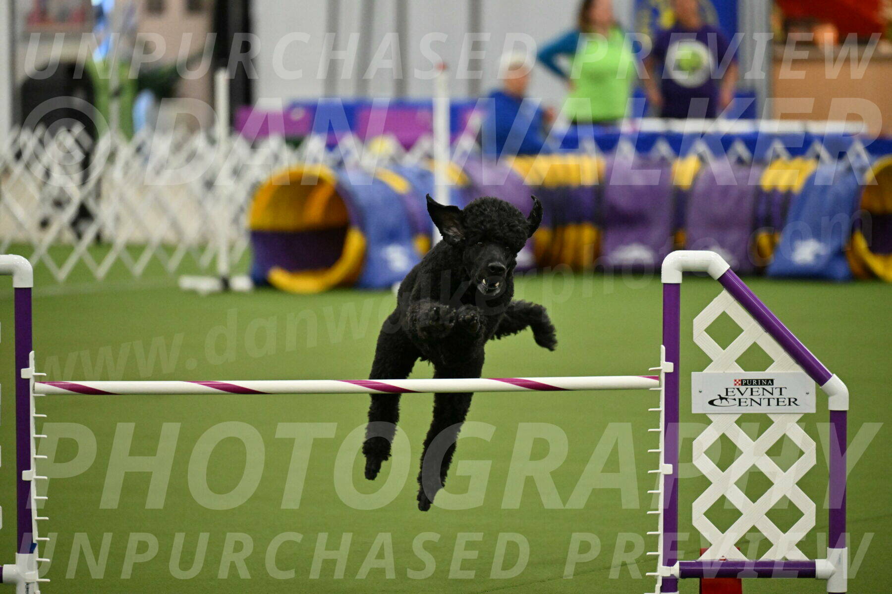 MAS-EX-JWW-24-Inch_3501