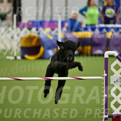 MAS-EX-JWW-24-Inch_3501