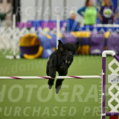 MAS-EX-JWW-24-Inch_3502