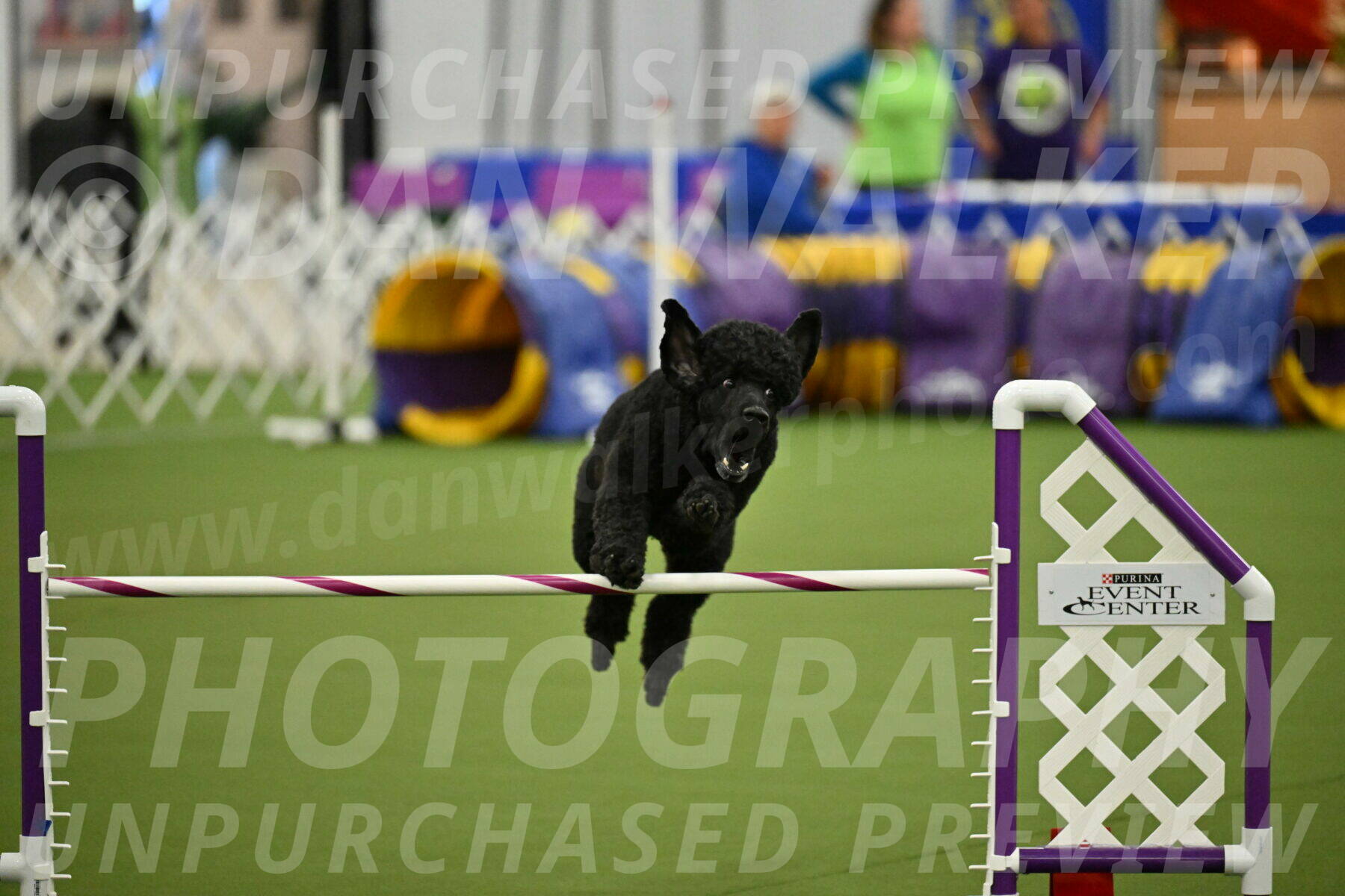 MAS-EX-JWW-24-Inch_3502