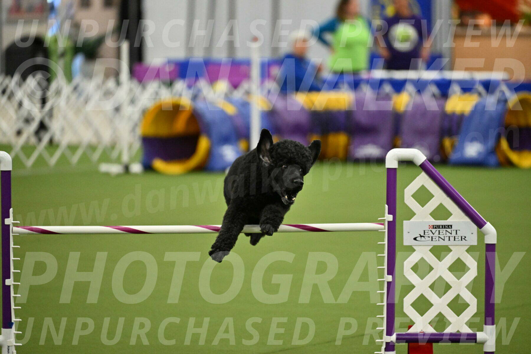 MAS-EX-JWW-24-Inch_3503