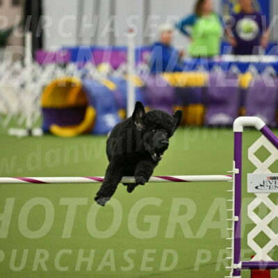 MAS-EX-JWW-24-Inch_3503