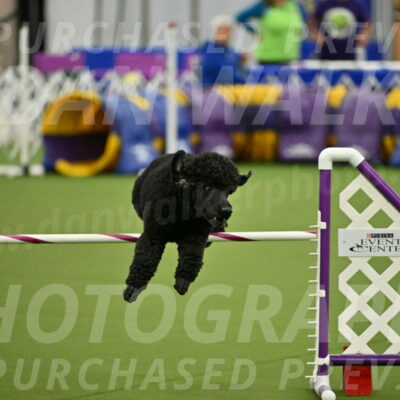 MAS-EX-JWW-24-Inch_3504