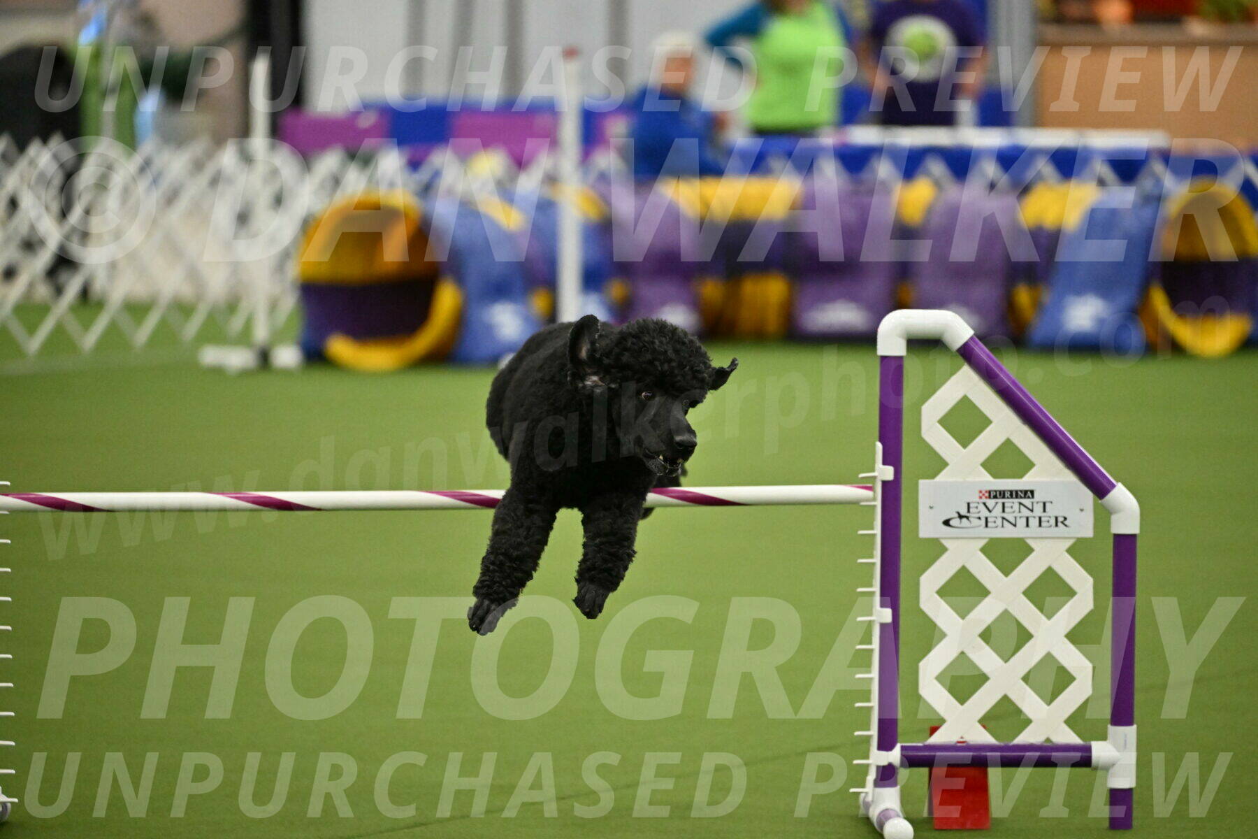 MAS-EX-JWW-24-Inch_3504