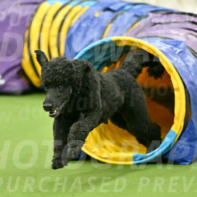 MAS-EX-JWW-24-Inch_3507