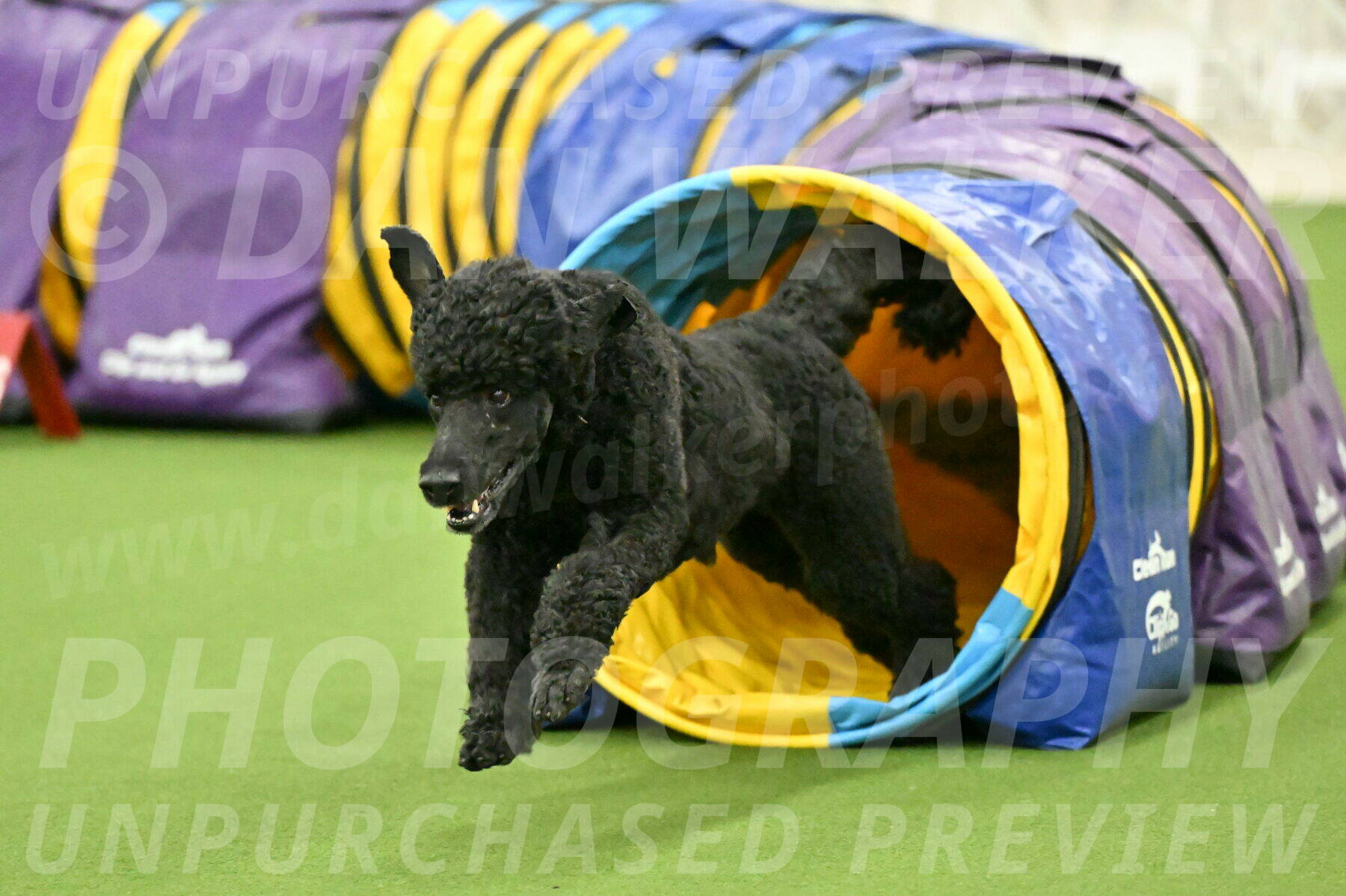 MAS-EX-JWW-24-Inch_3507