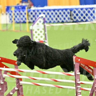 MAS-EX-JWW-24-Inch_3515