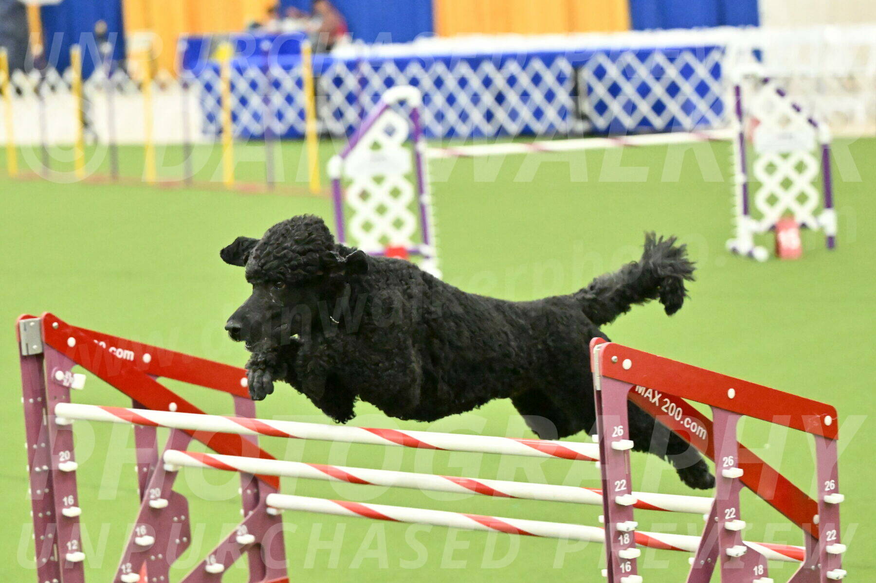 MAS-EX-JWW-24-Inch_3515