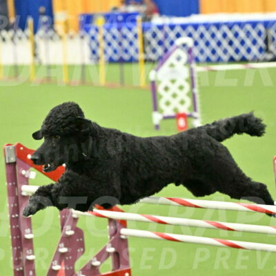 MAS-EX-JWW-24-Inch_3516