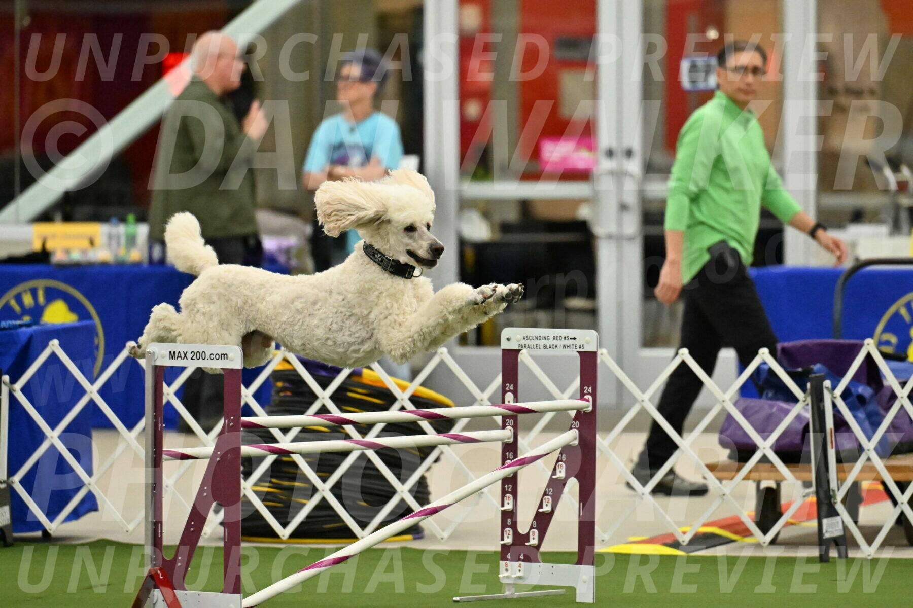 MAS-EX-JWW-24-Inch_3519