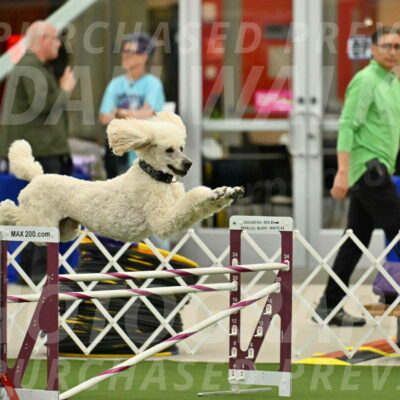 MAS-EX-JWW-24-Inch_3519