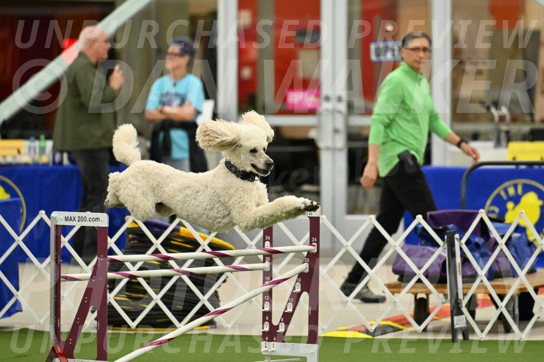 MAS-EX-JWW-24-Inch_3520