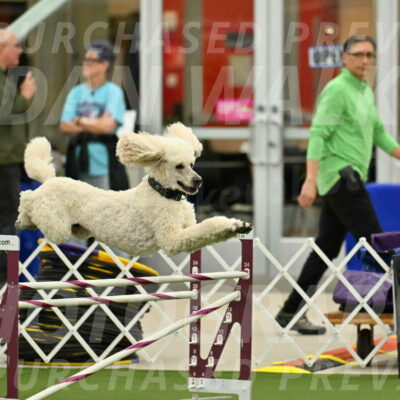 MAS-EX-JWW-24-Inch_3520