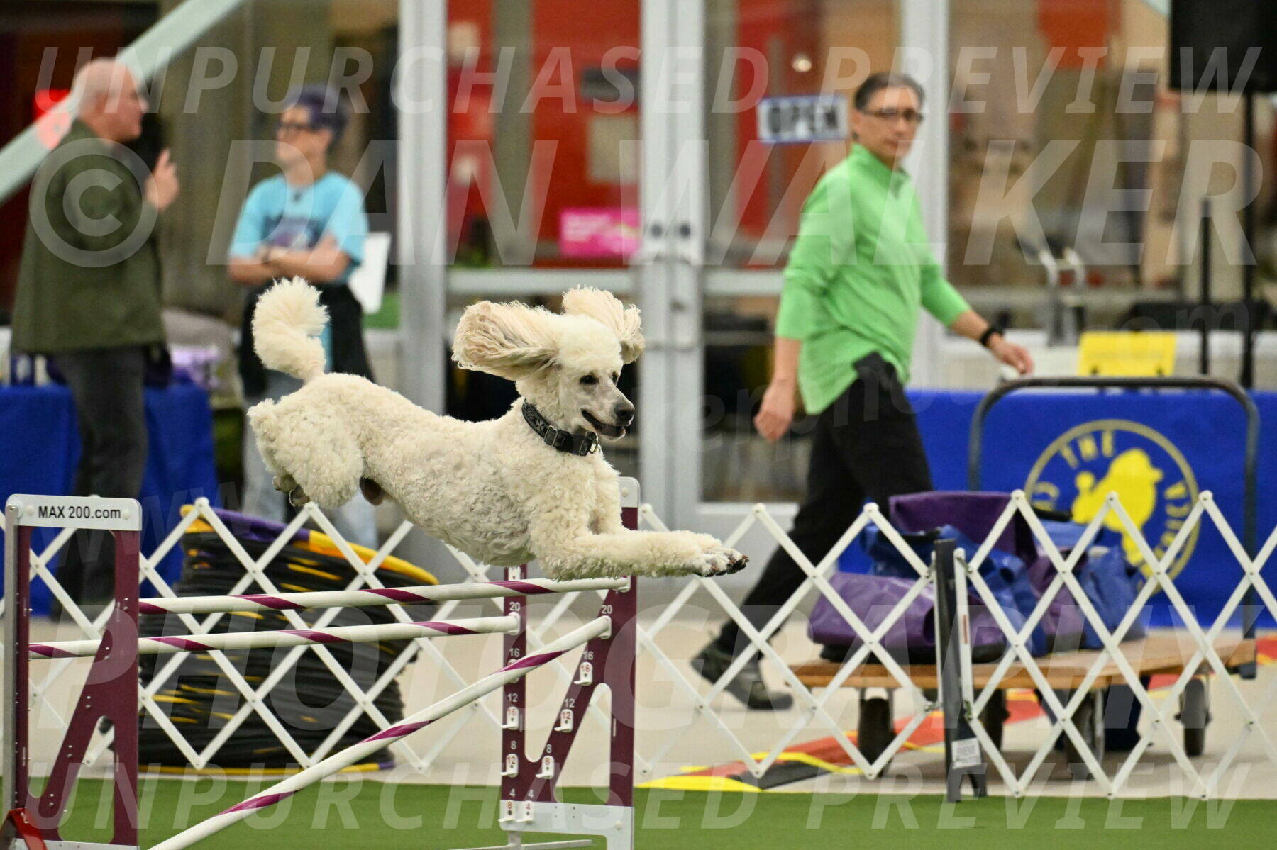 MAS-EX-JWW-24-Inch_3521