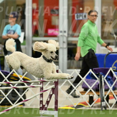 MAS-EX-JWW-24-Inch_3521