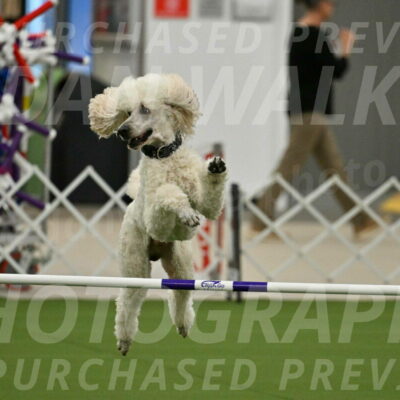 MAS-EX-JWW-24-Inch_3522