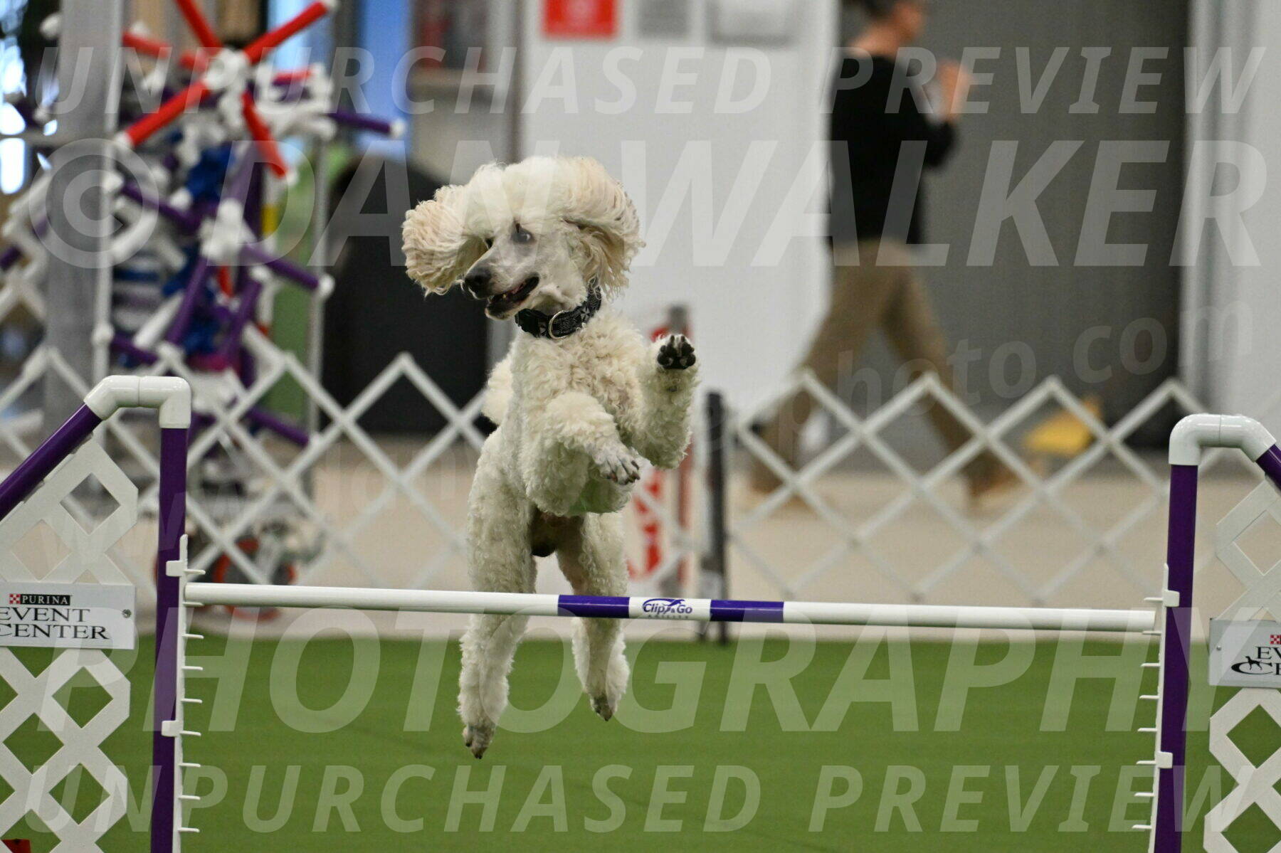 MAS-EX-JWW-24-Inch_3522