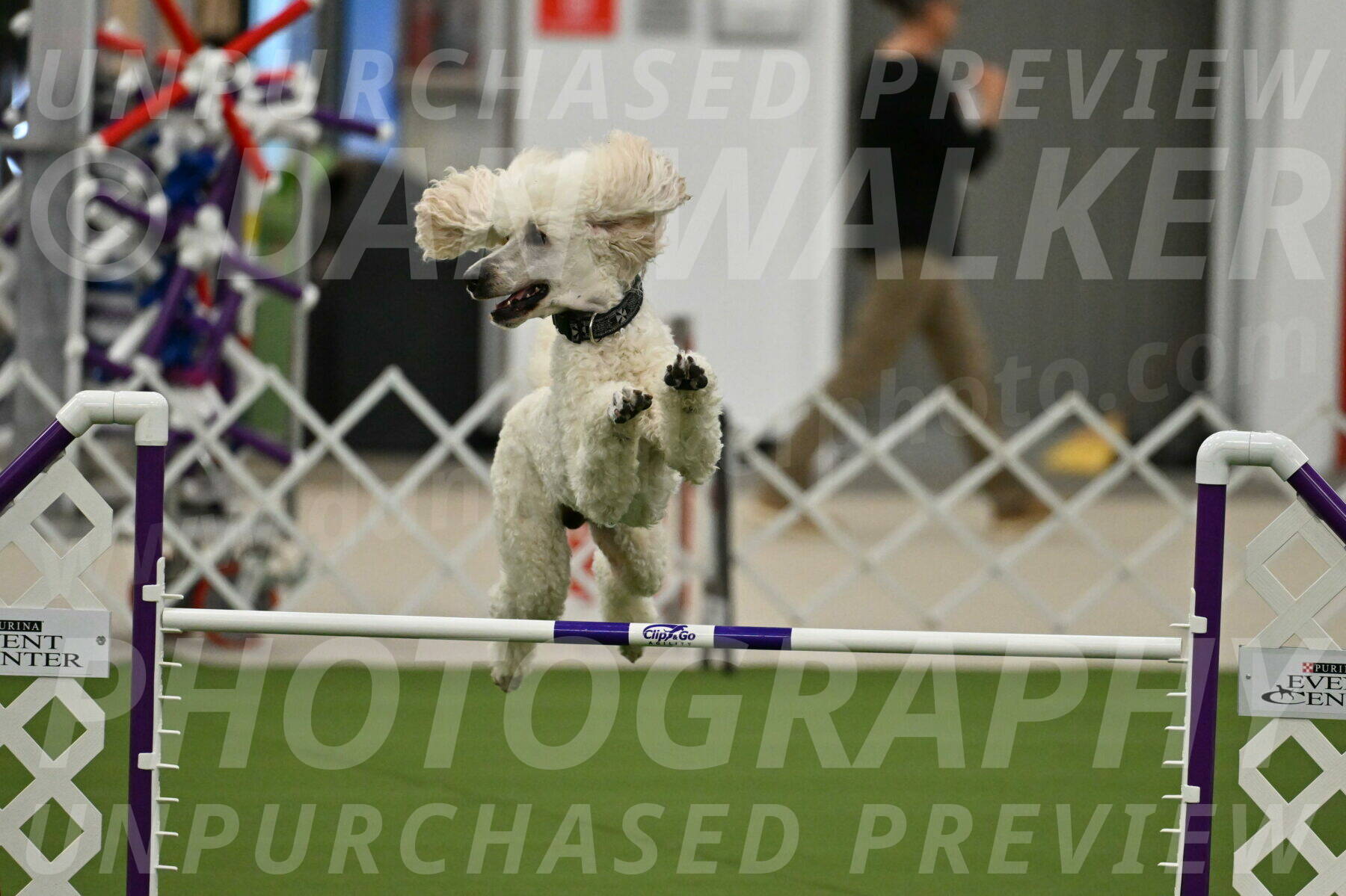 MAS-EX-JWW-24-Inch_3523