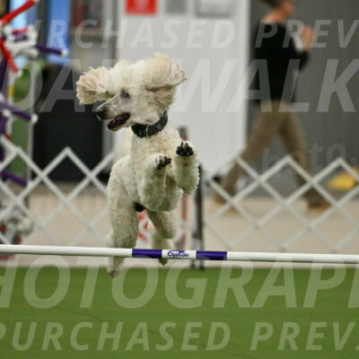 MAS-EX-JWW-24-Inch_3523