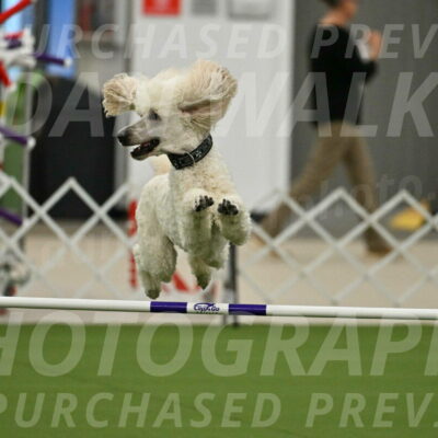 MAS-EX-JWW-24-Inch_3524