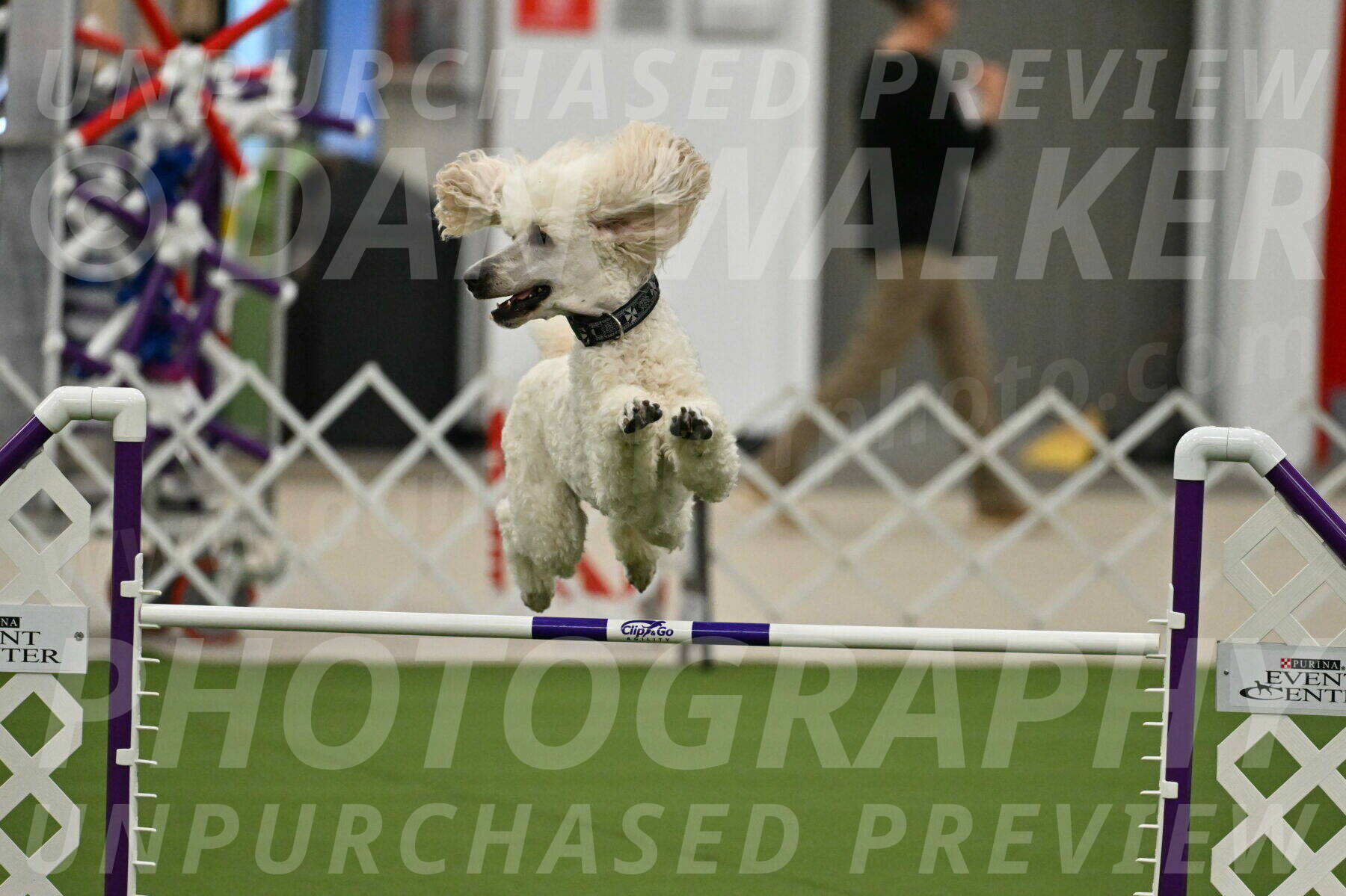 MAS-EX-JWW-24-Inch_3524