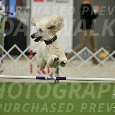 MAS-EX-JWW-24-Inch_3525