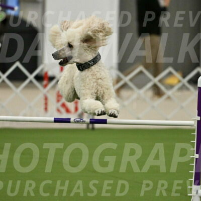 MAS-EX-JWW-24-Inch_3526