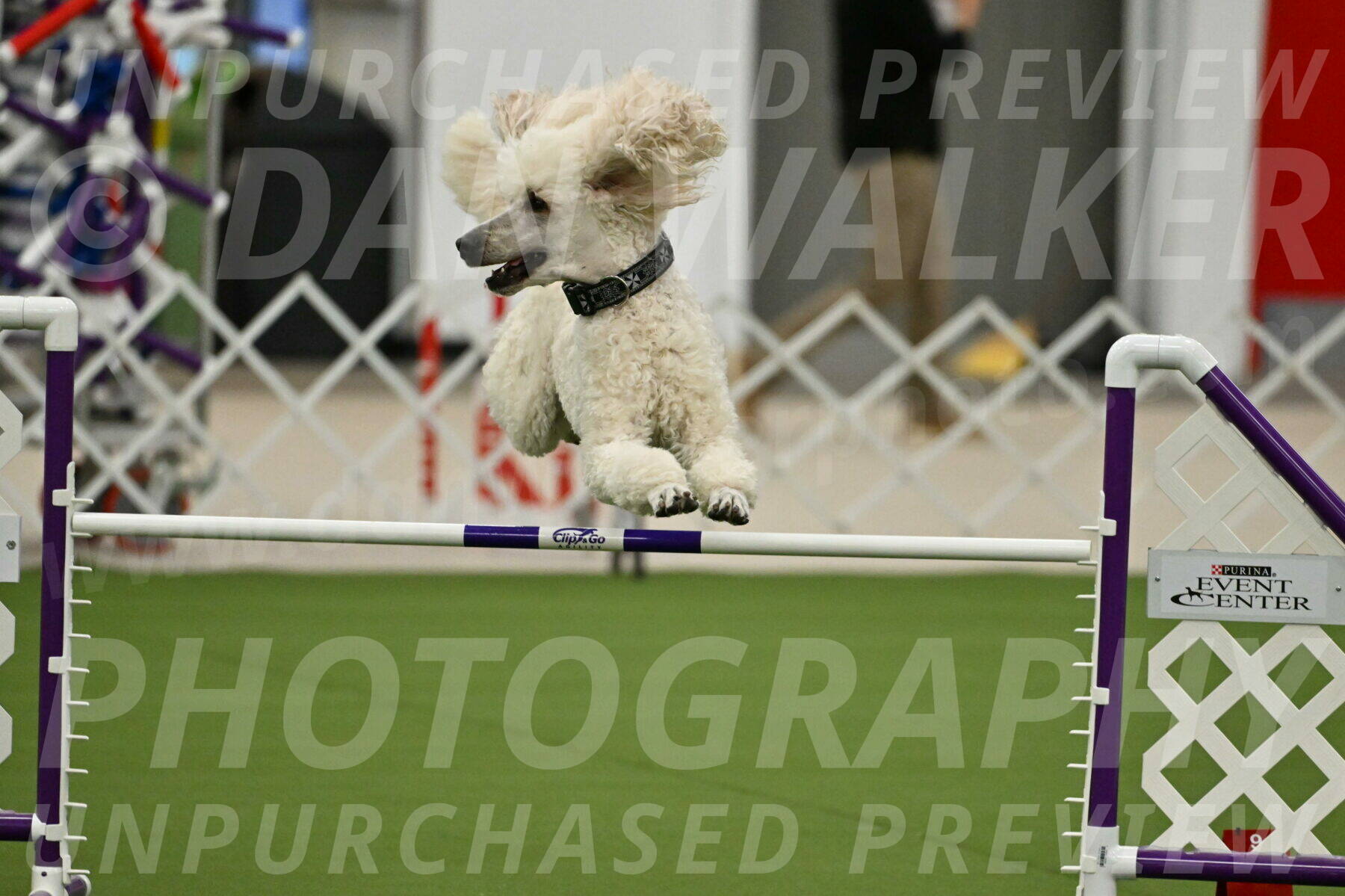 MAS-EX-JWW-24-Inch_3526