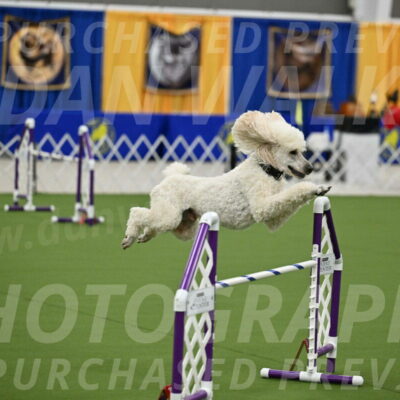 MAS-EX-JWW-24-Inch_3527