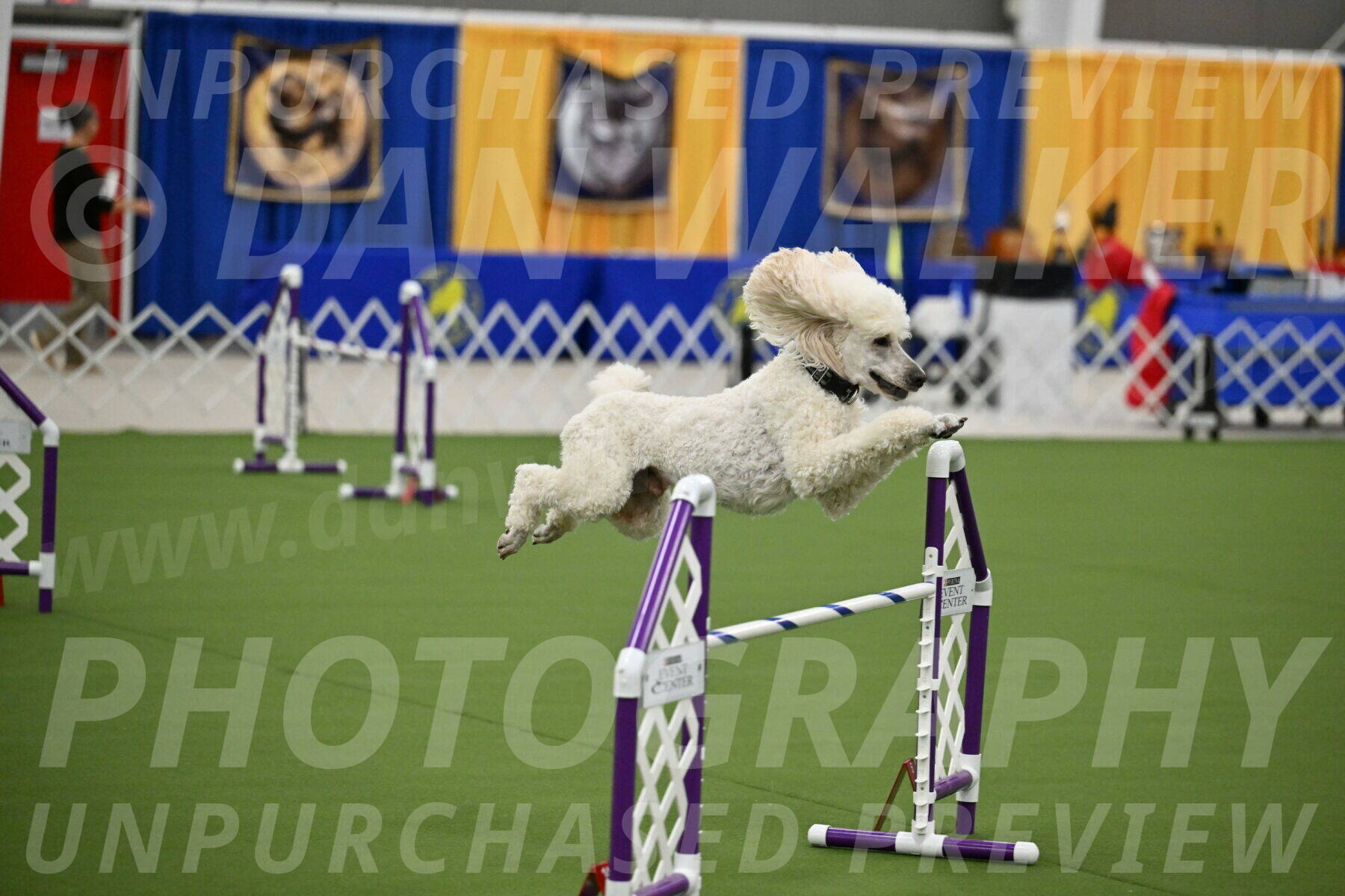 MAS-EX-JWW-24-Inch_3527