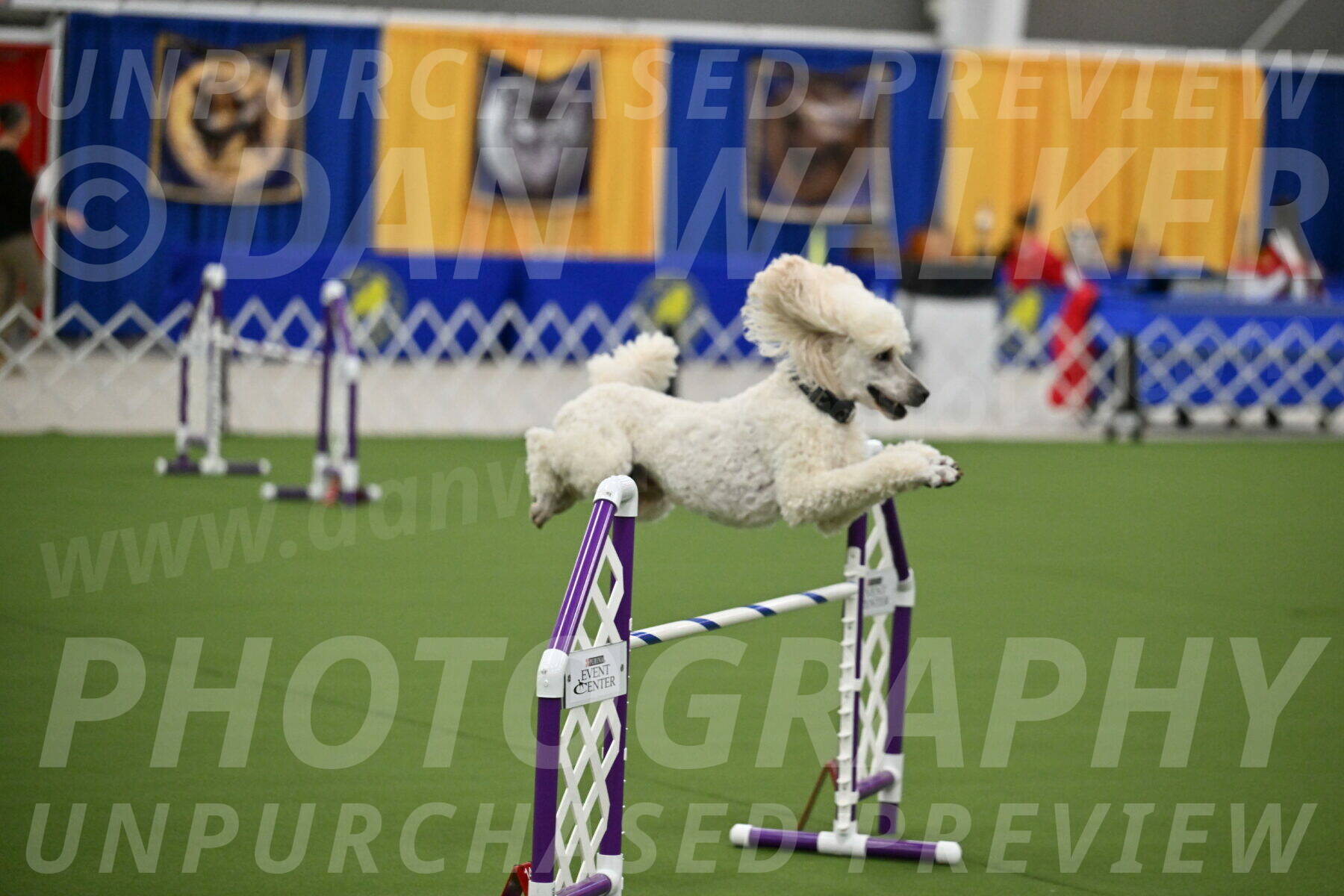 MAS-EX-JWW-24-Inch_3528