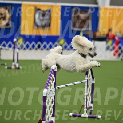 MAS-EX-JWW-24-Inch_3528