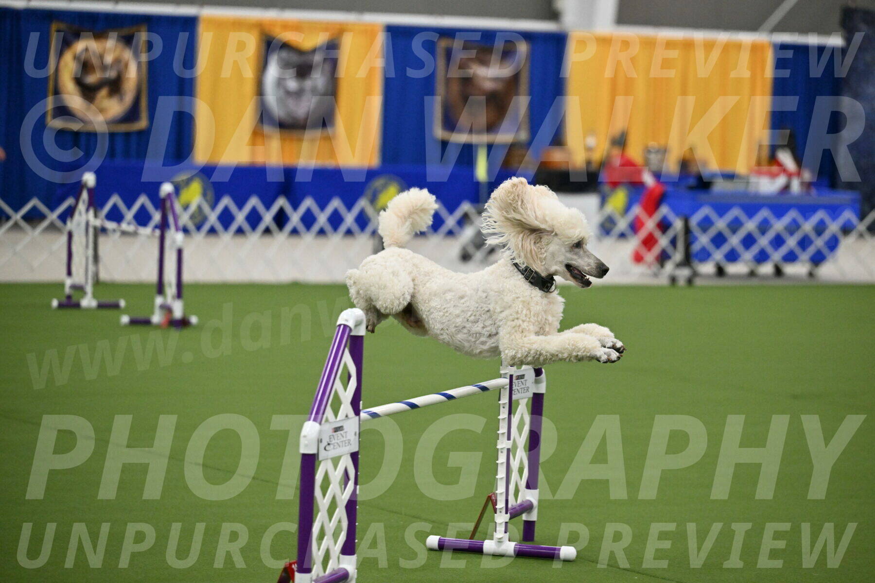 MAS-EX-JWW-24-Inch_3529