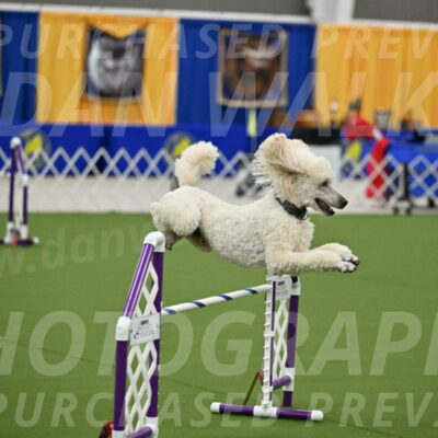 MAS-EX-JWW-24-Inch_3529